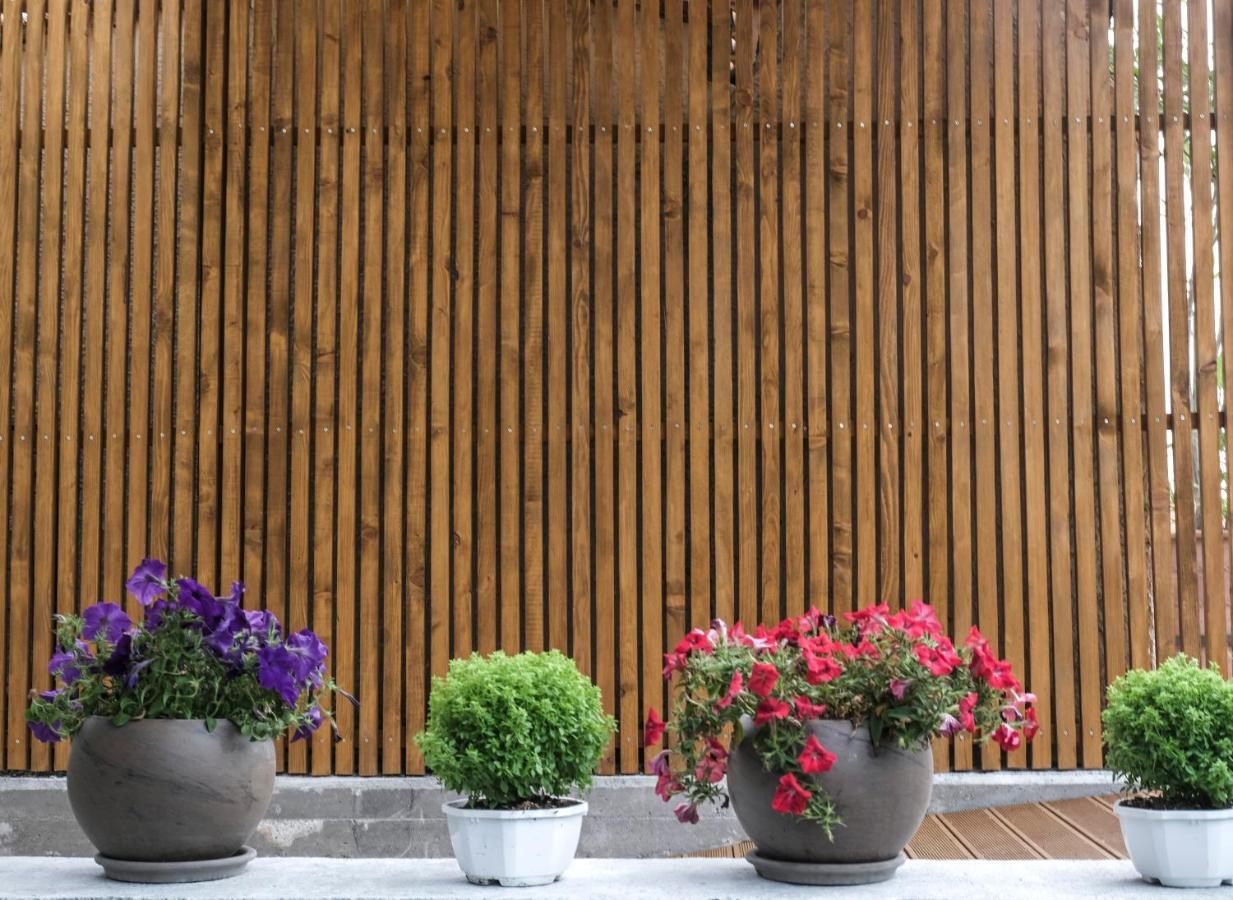 Hotel Vozina Metamorfosi (Sithonia) Exterior foto